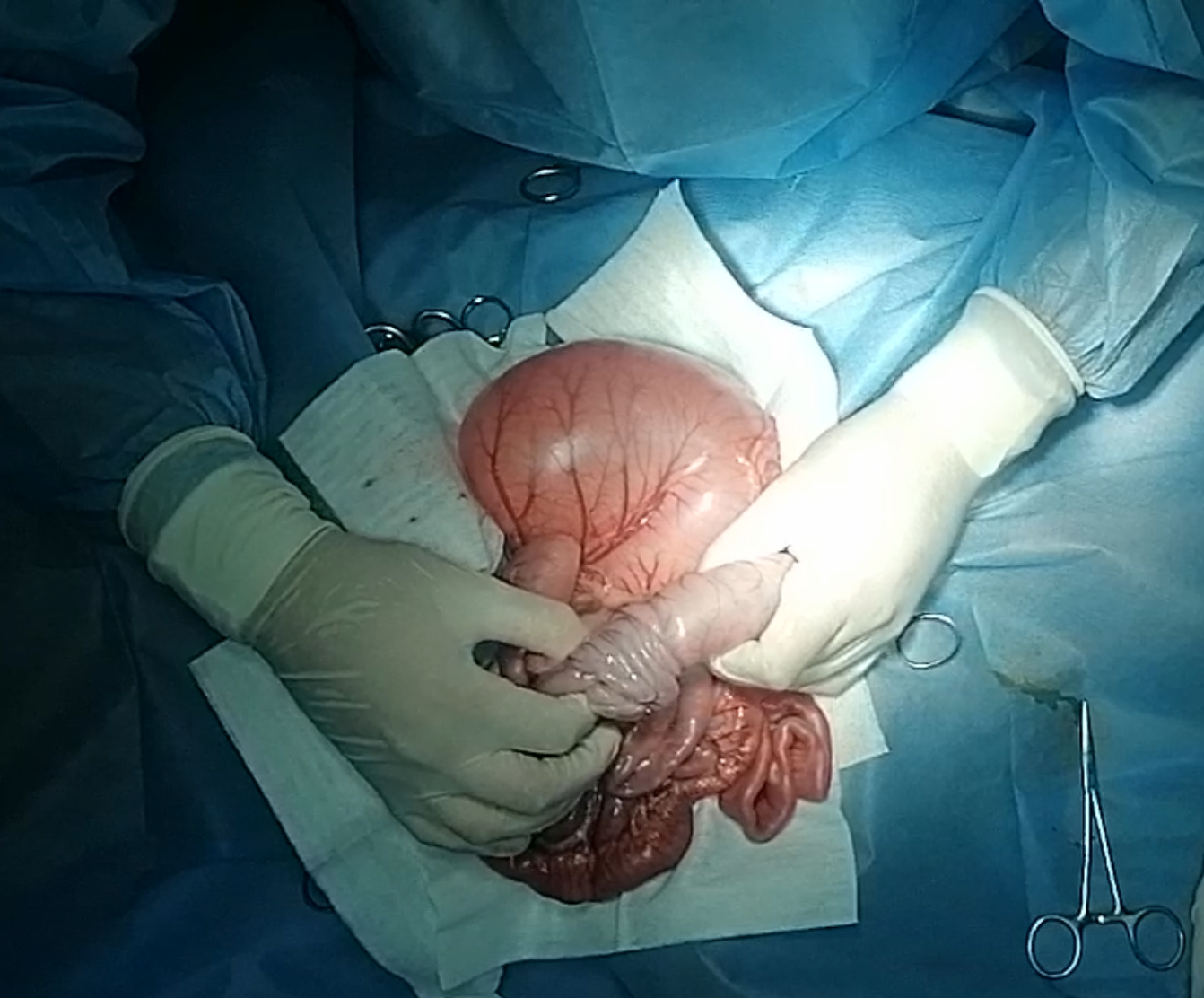 صورة المعرض