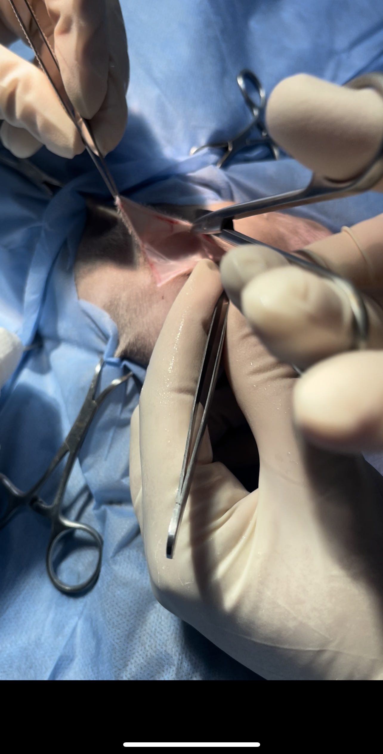 صورة المعرض