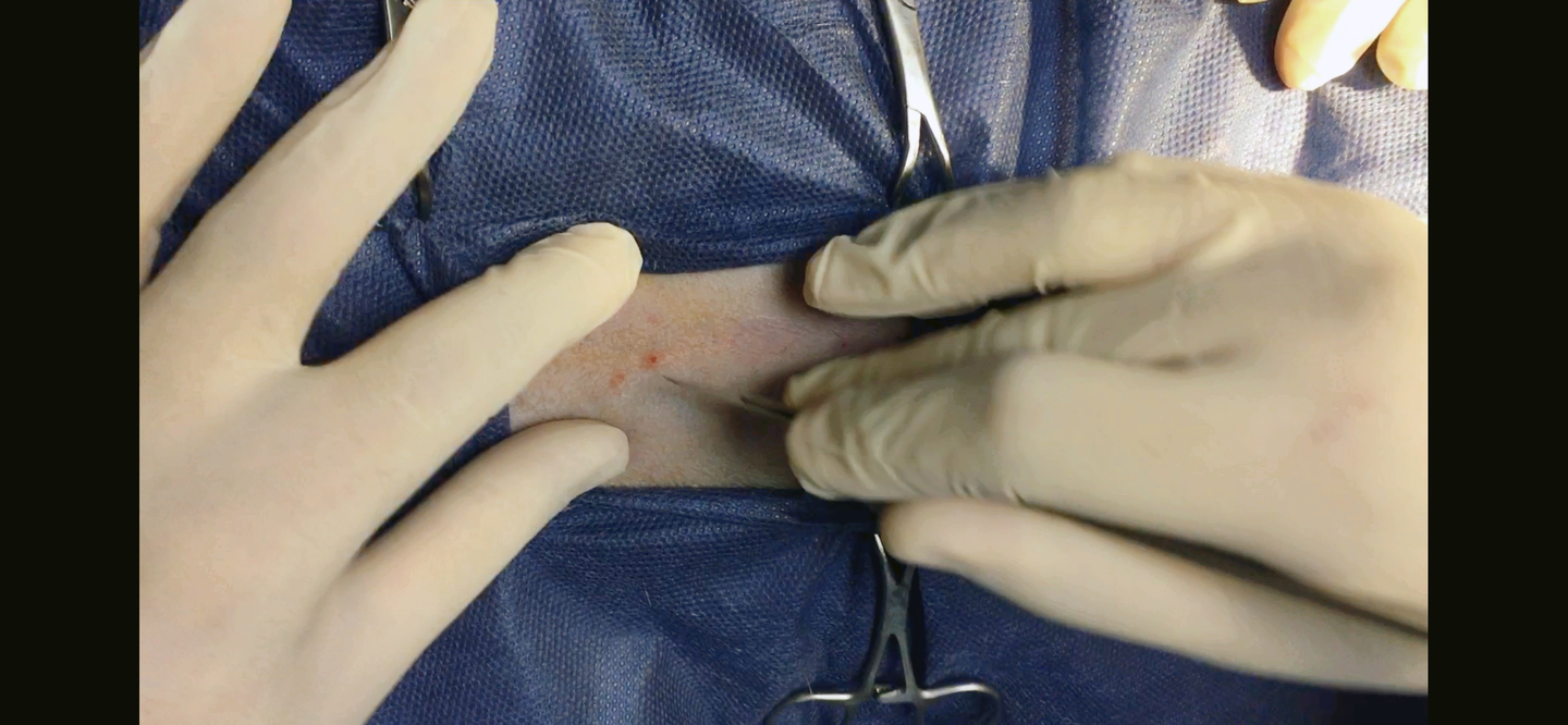 صورة المعرض