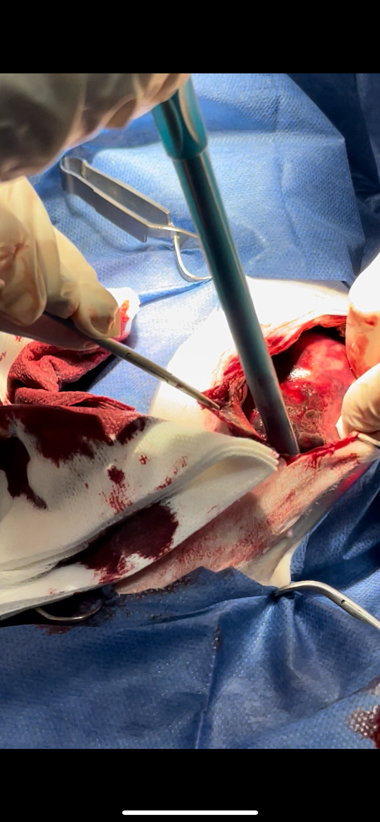 صورة المعرض