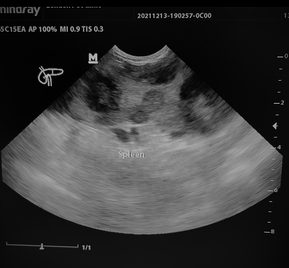 صورة المعرض