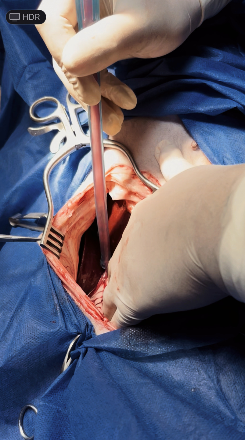 صورة المعرض