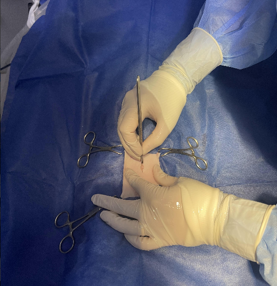 صورة المعرض