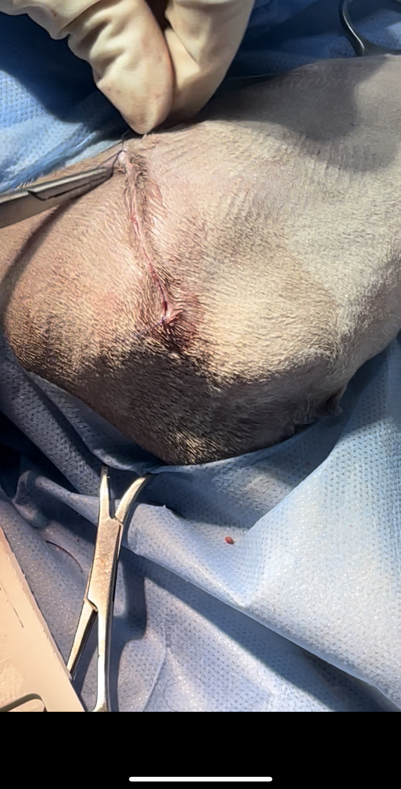 صورة المعرض