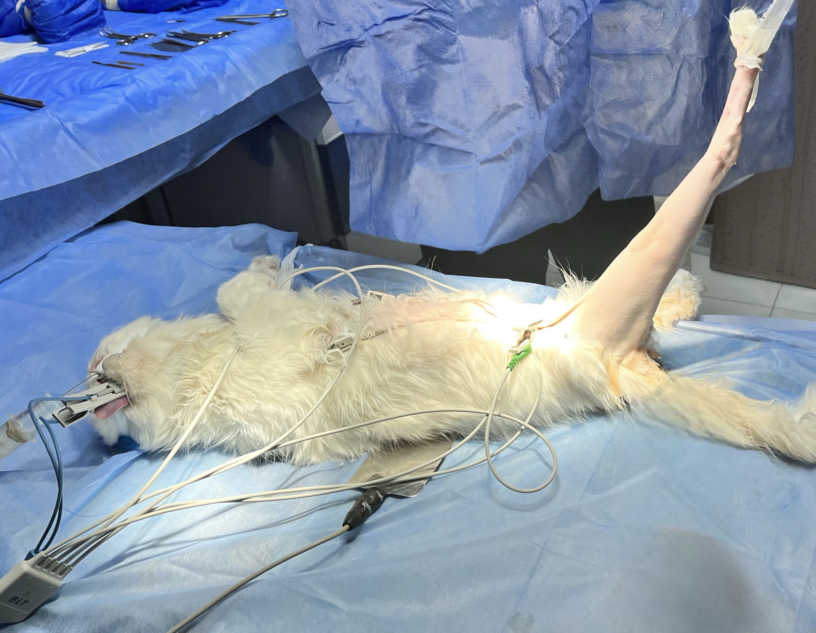 صورة المعرض