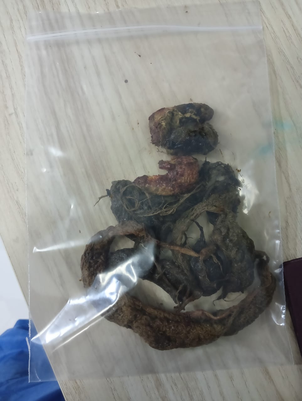 صورة المعرض