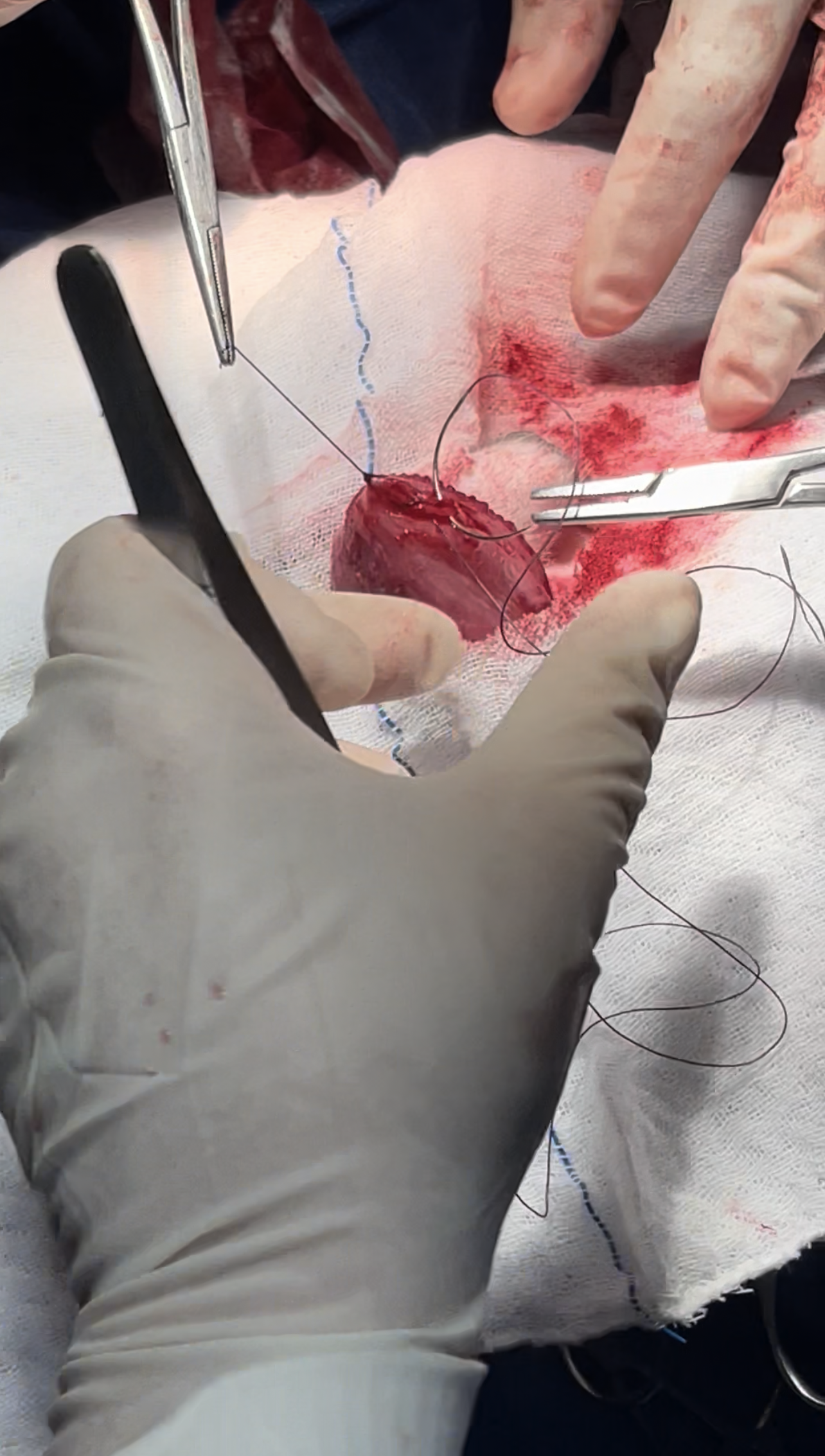 صورة المعرض