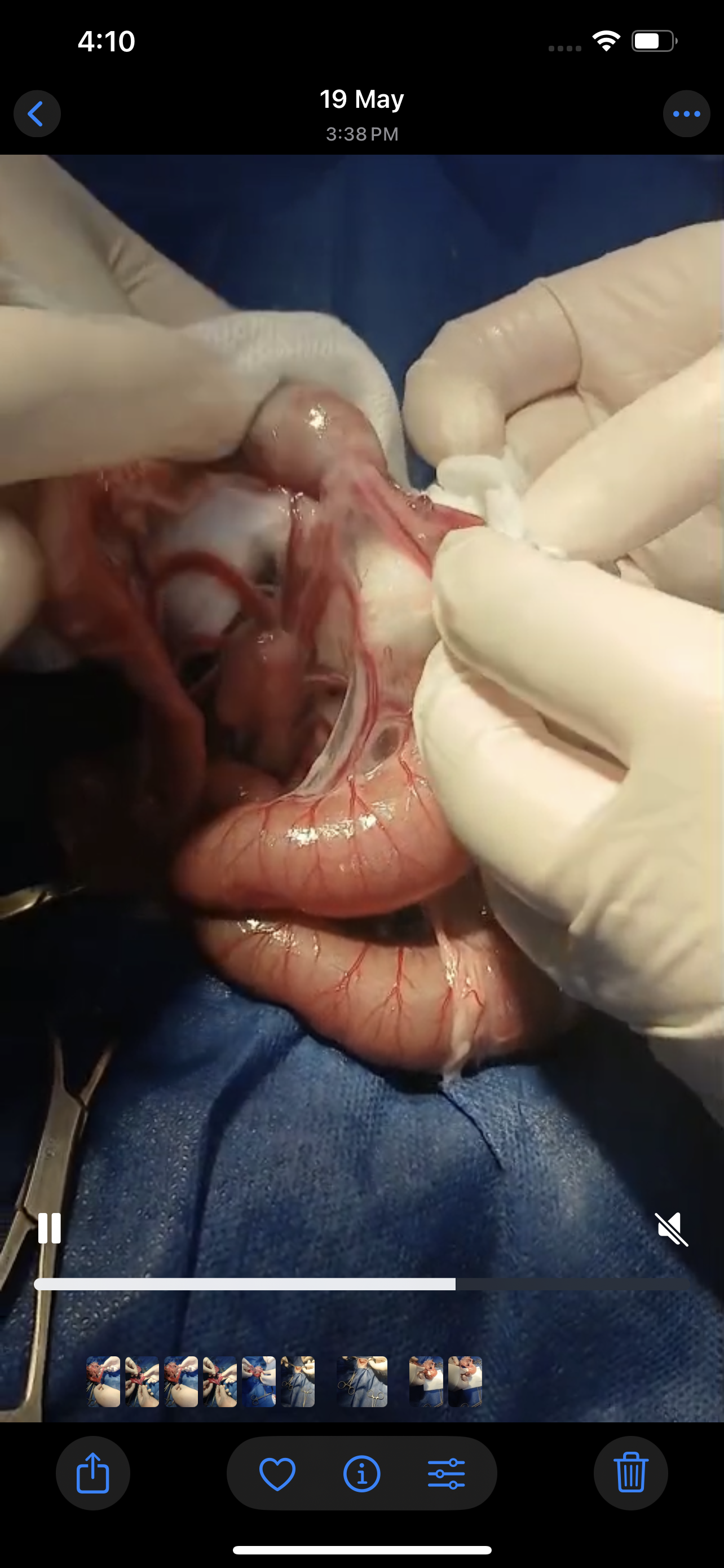 صورة المعرض