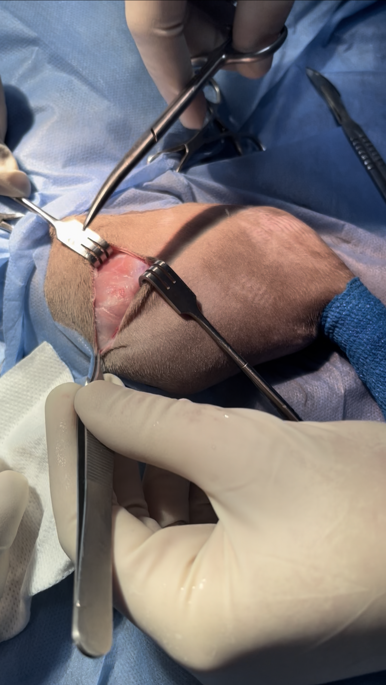 صورة المعرض