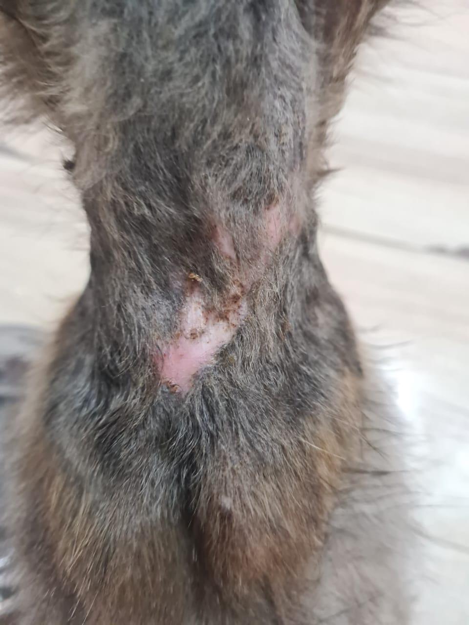 صورة المعرض