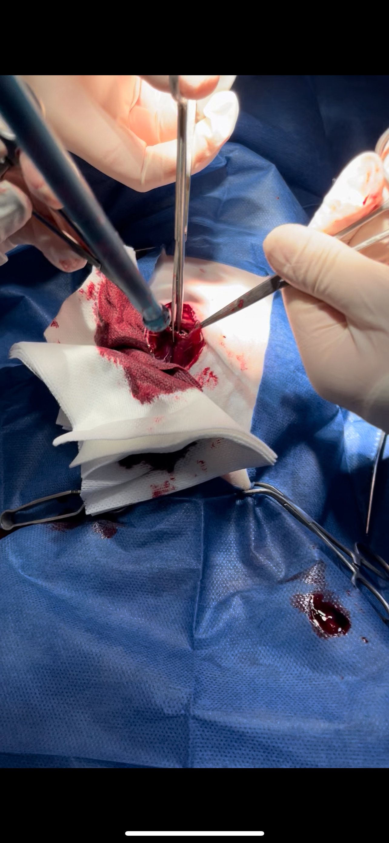 صورة المعرض