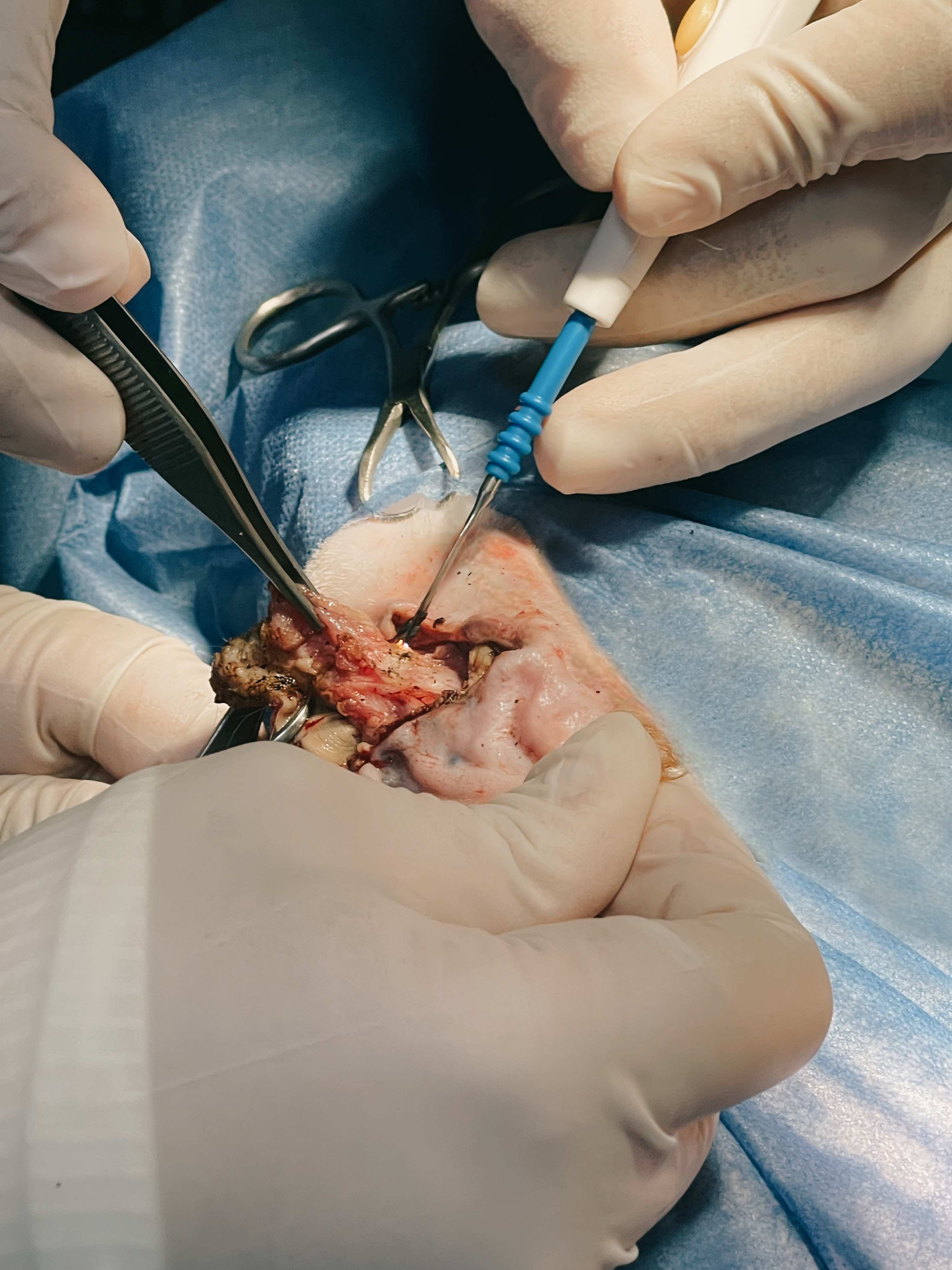 صورة المعرض