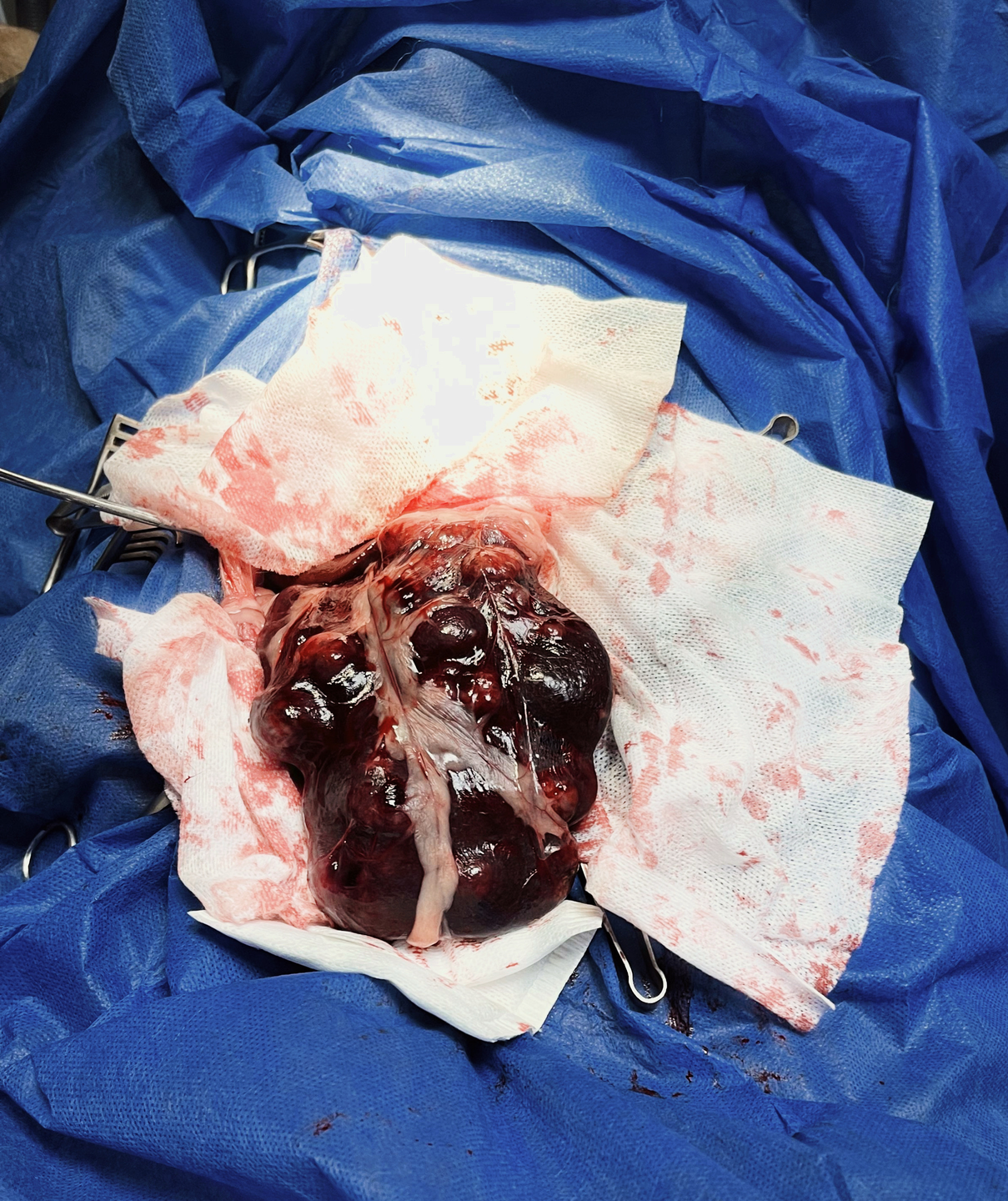 صورة المعرض