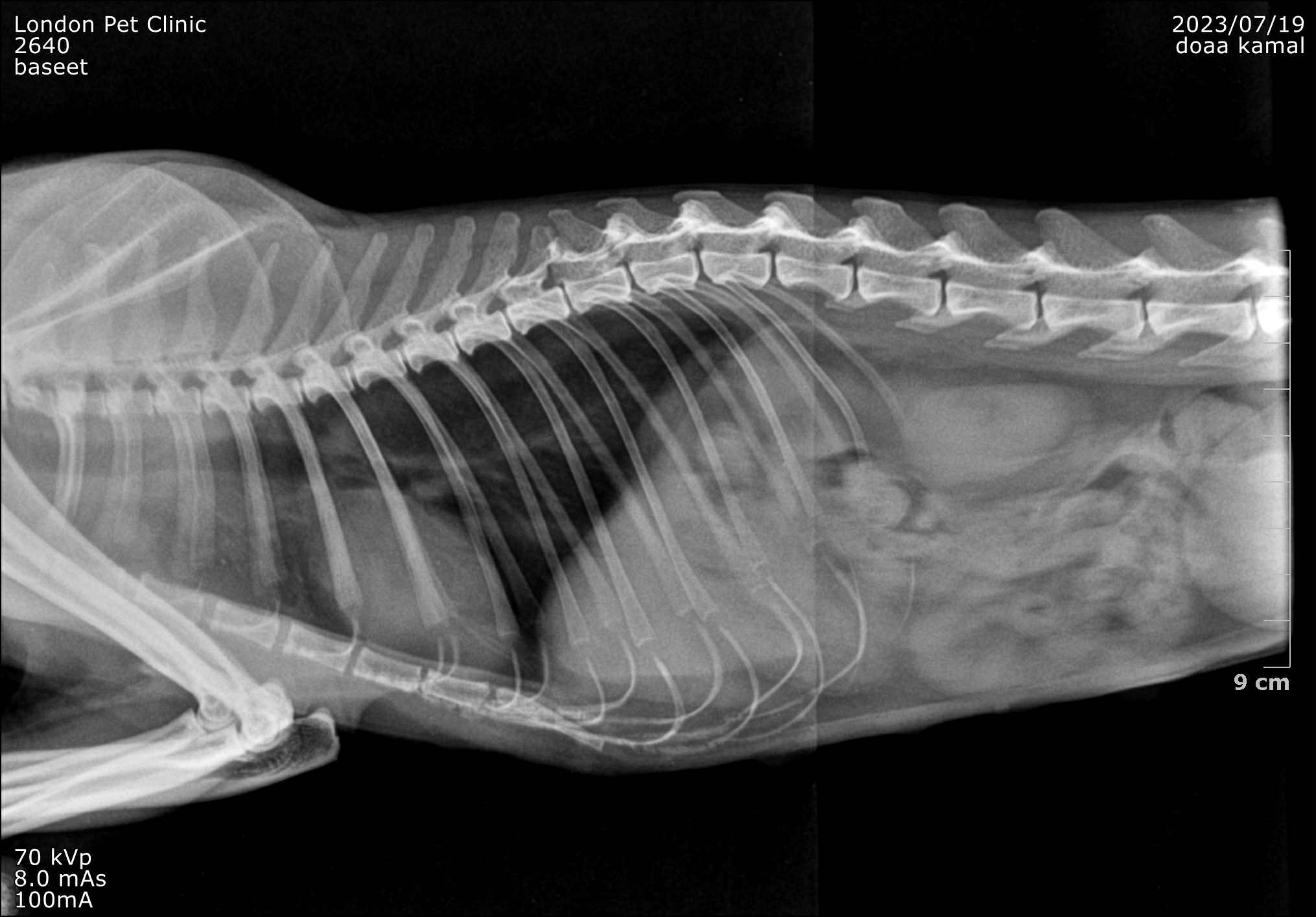 صورة المعرض