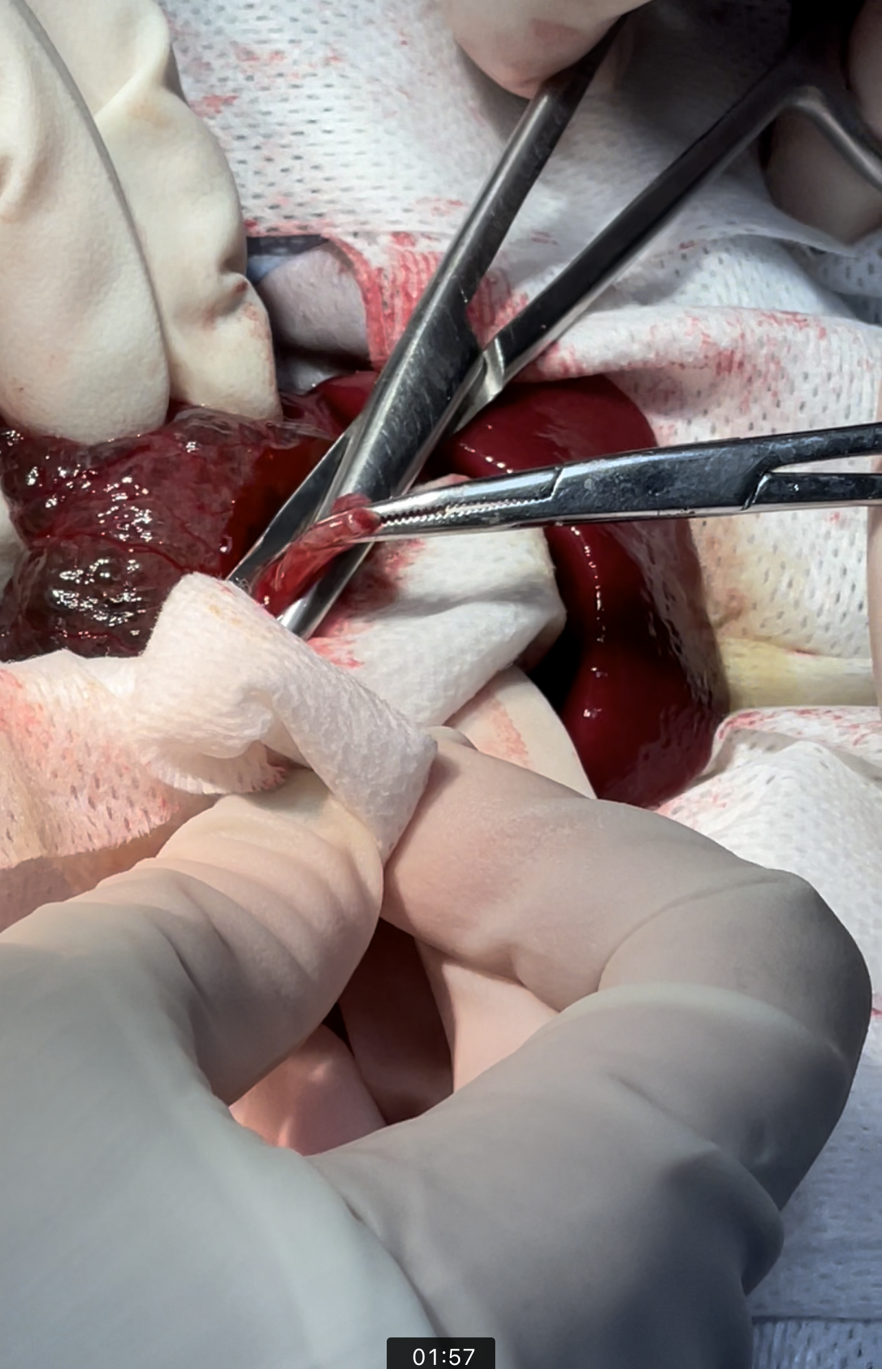 صورة المعرض