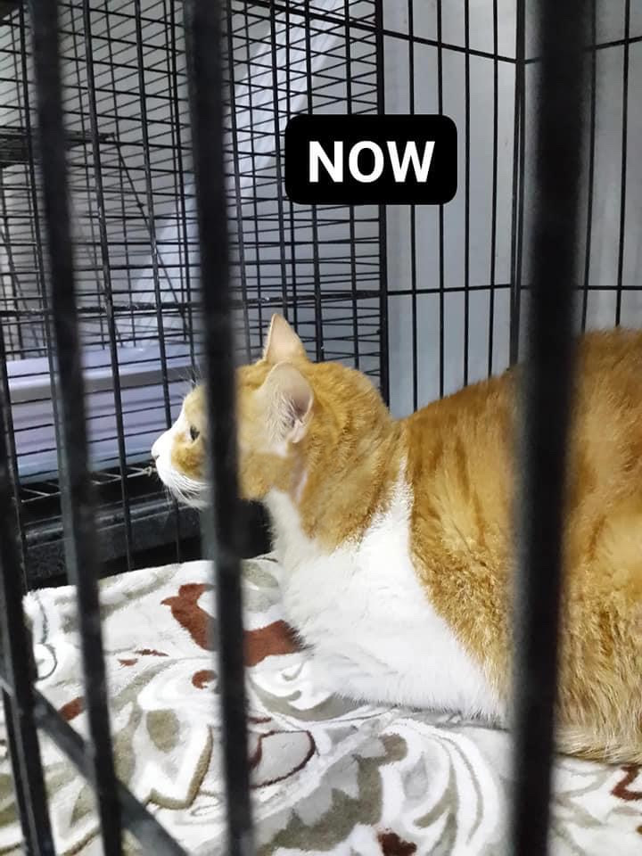 صورة المعرض