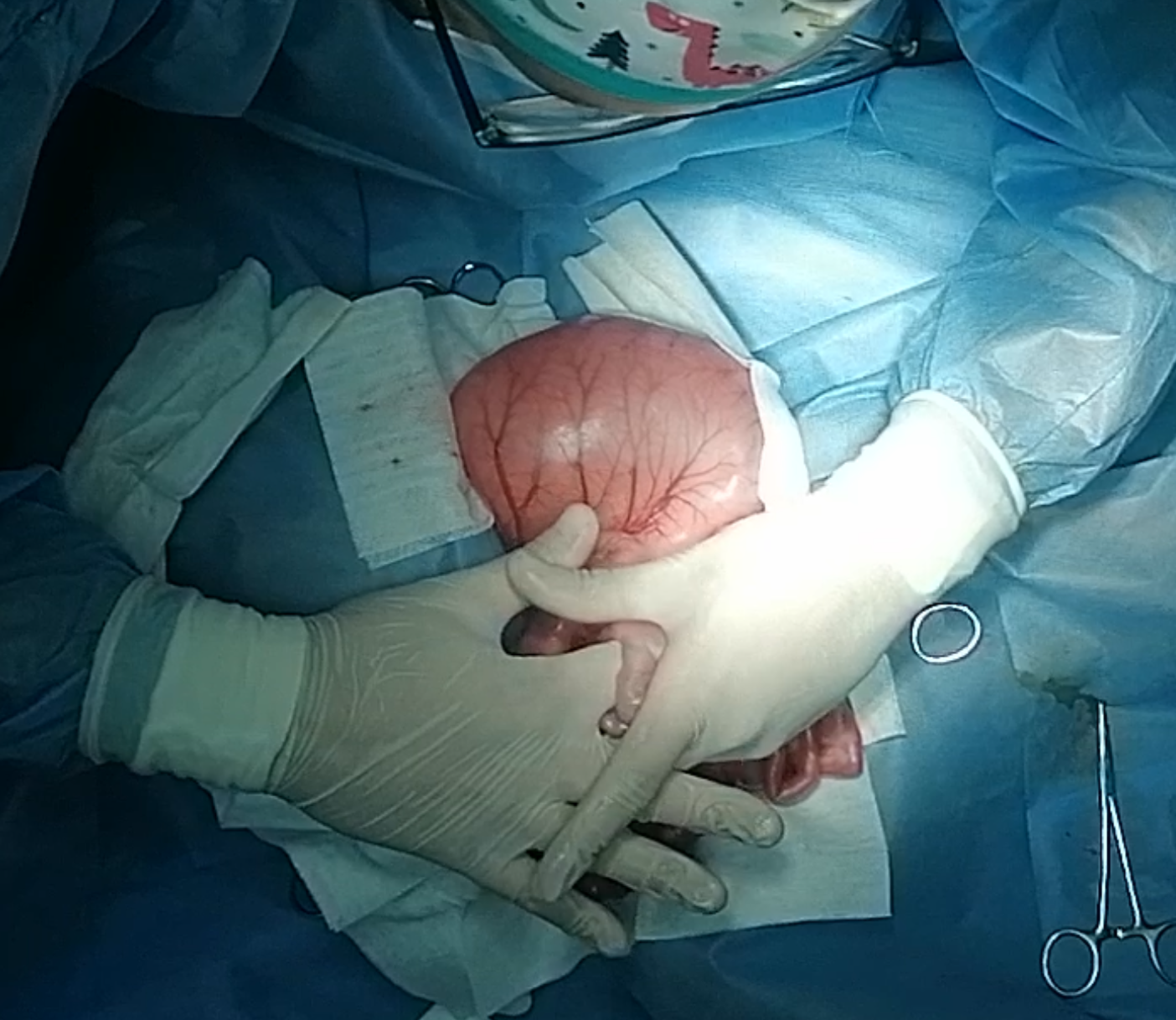 صورة المعرض