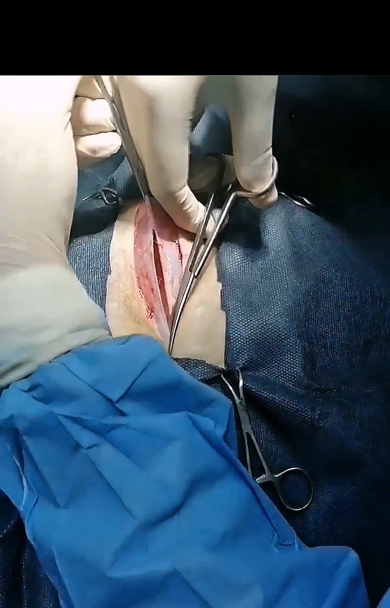 صورة المعرض