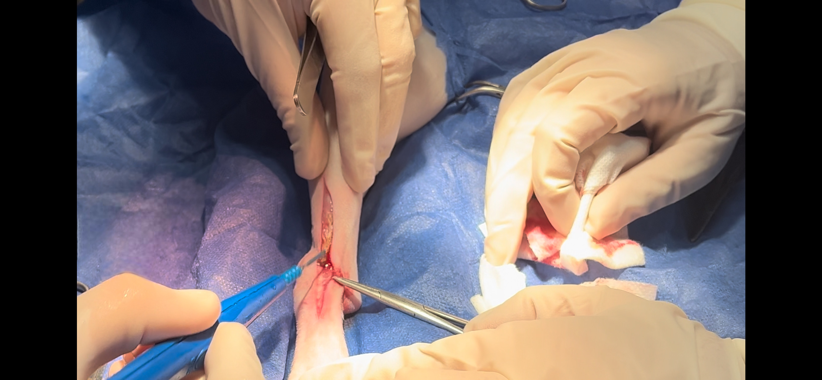 صورة المعرض