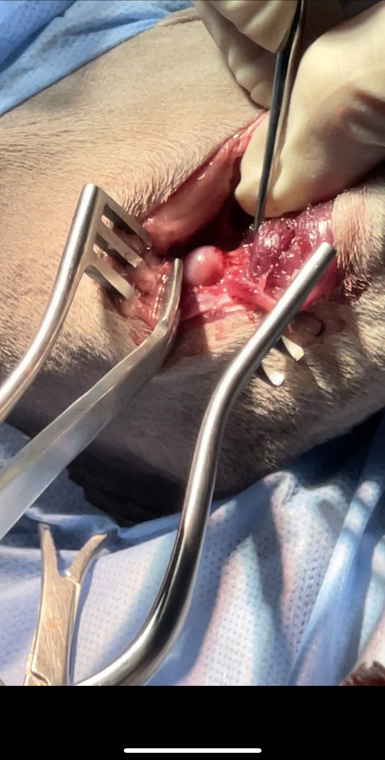 صورة المعرض