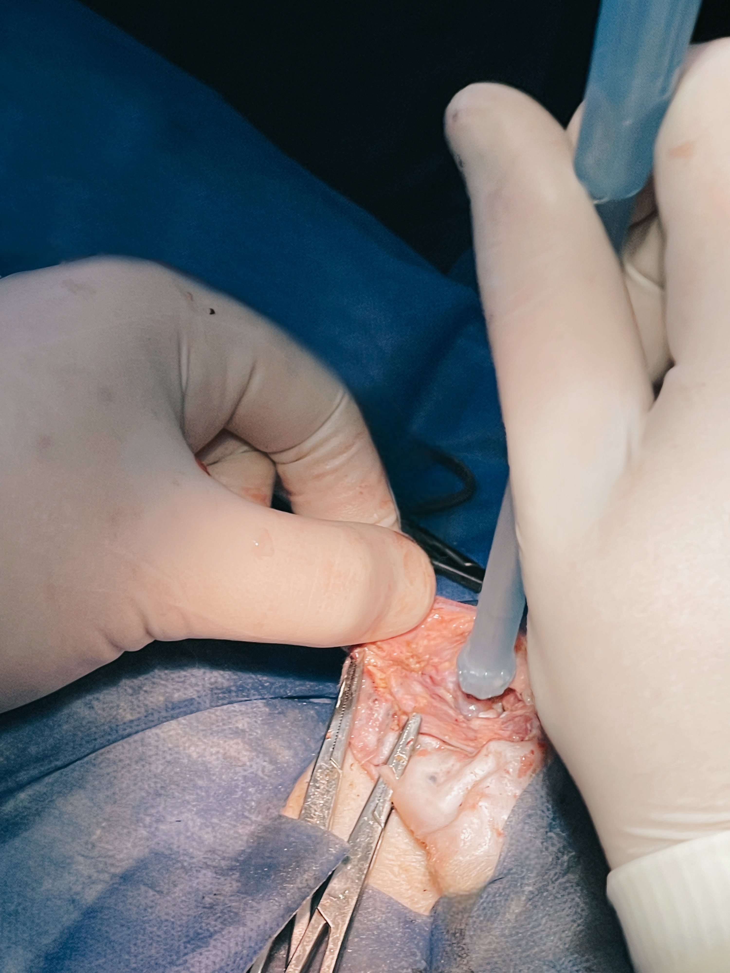 صورة المعرض