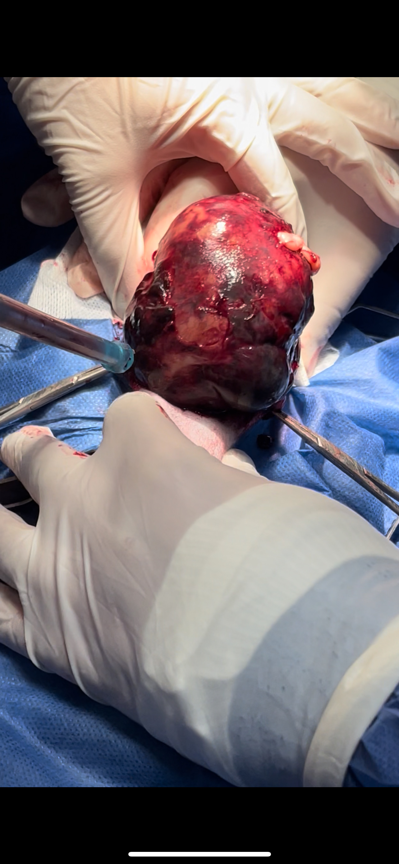 صورة المعرض