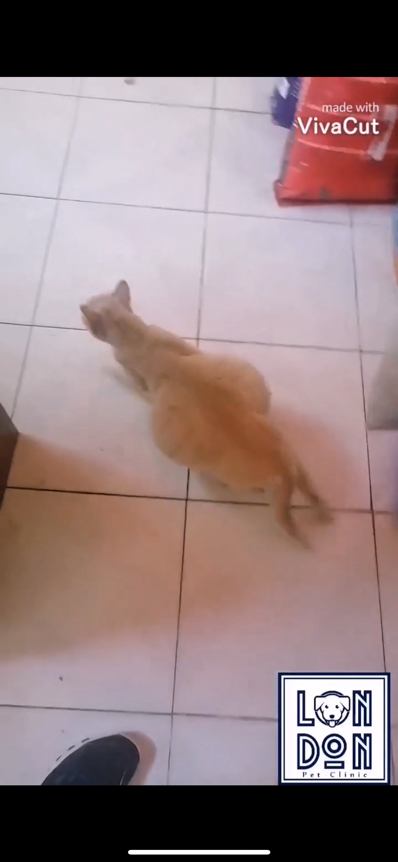 صورة المعرض