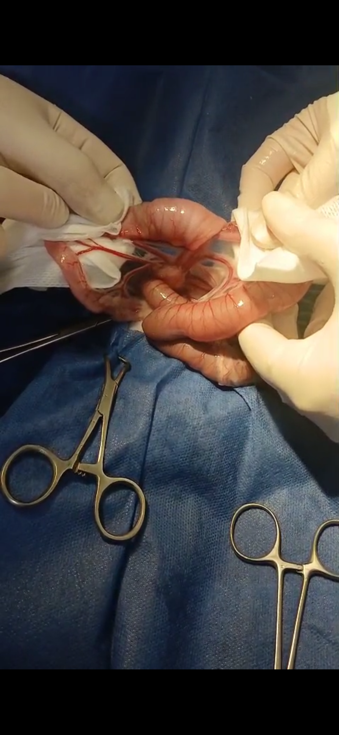 صورة المعرض