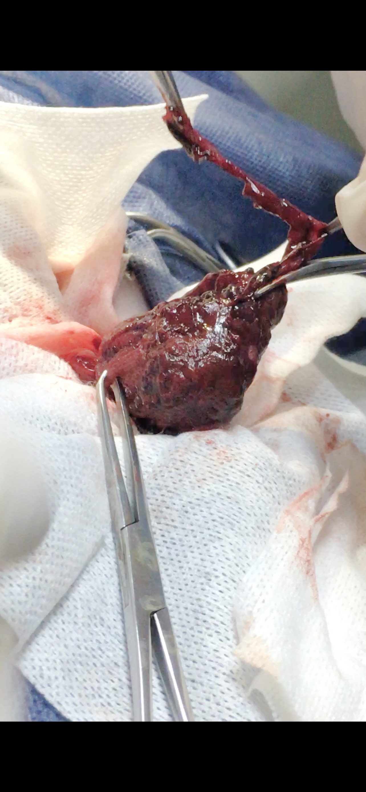 صورة المعرض