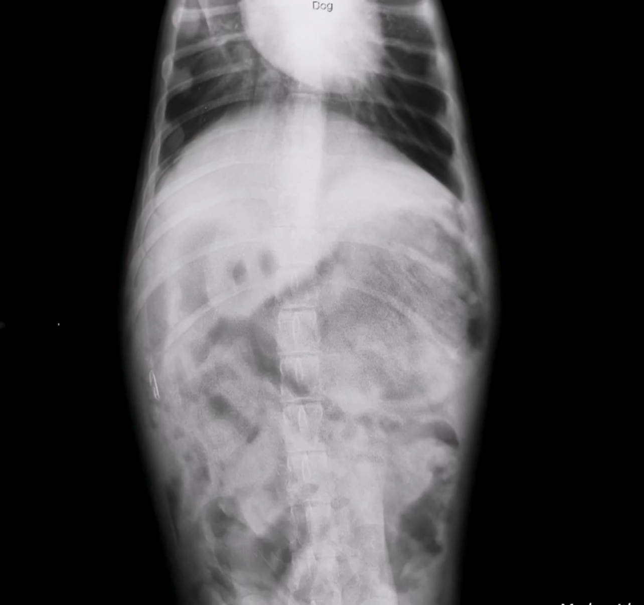 صورة المعرض