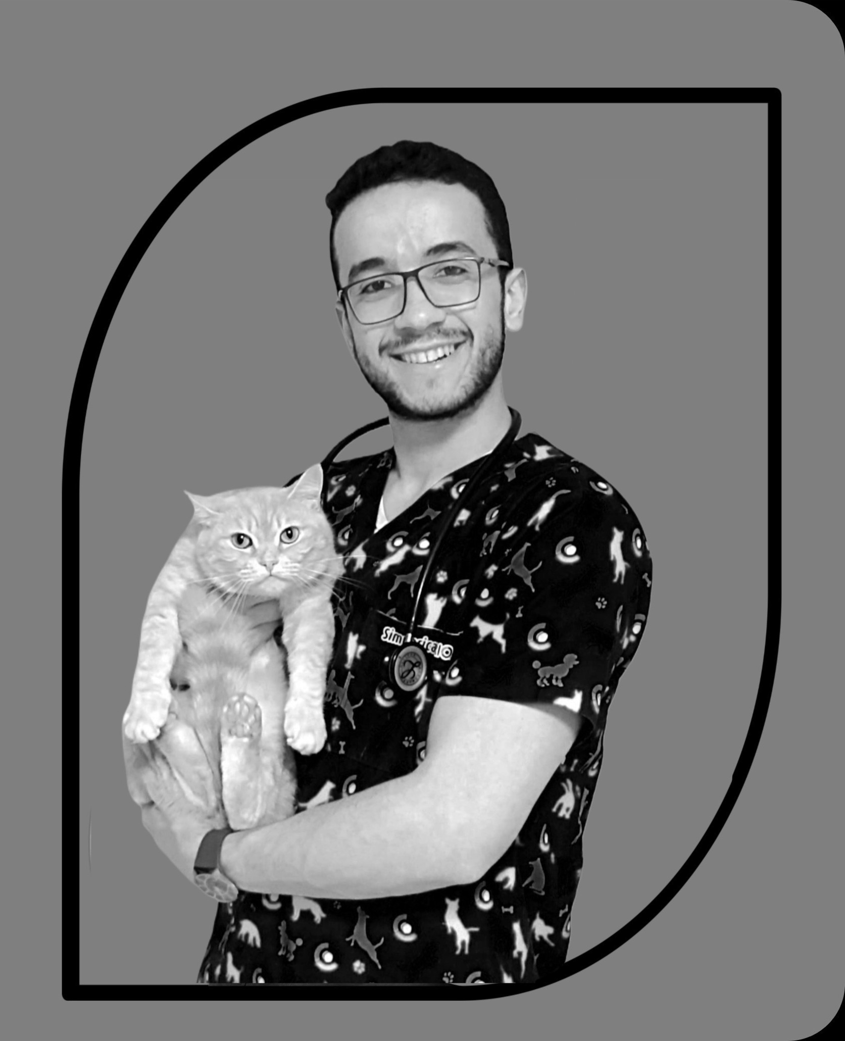 صورة العنصر