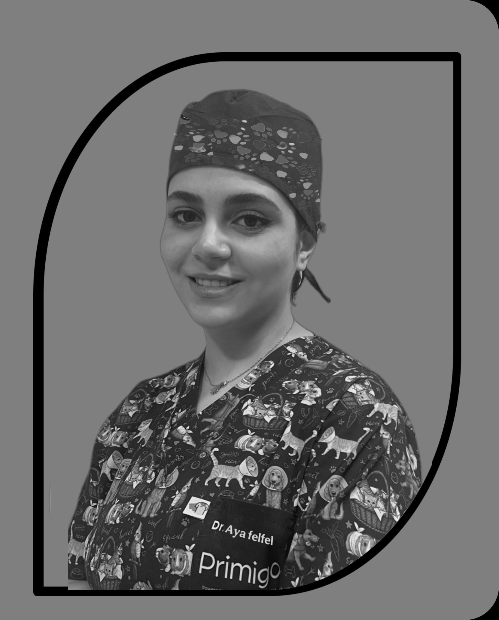 صورة العنصر