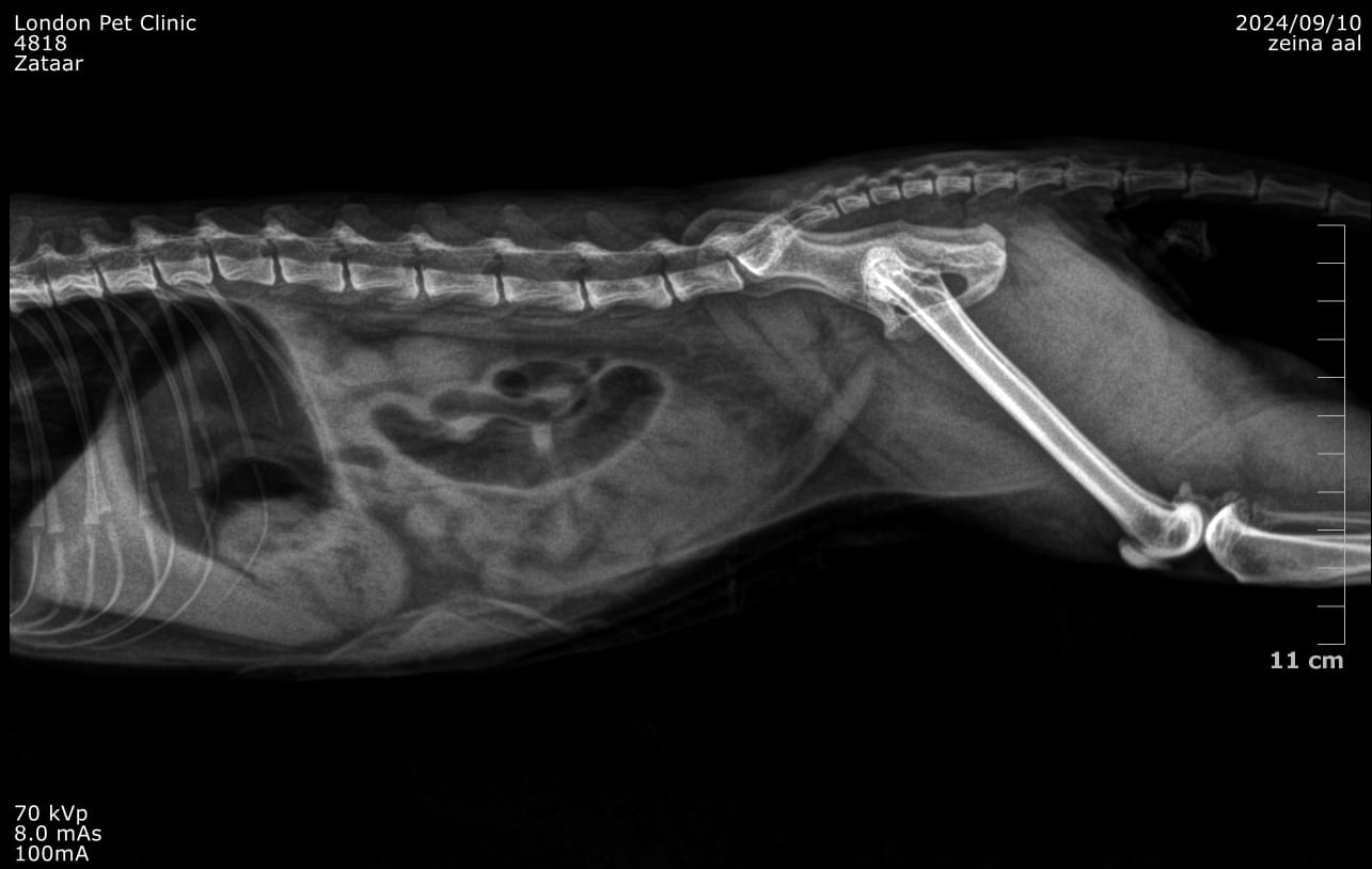 صورة المعرض