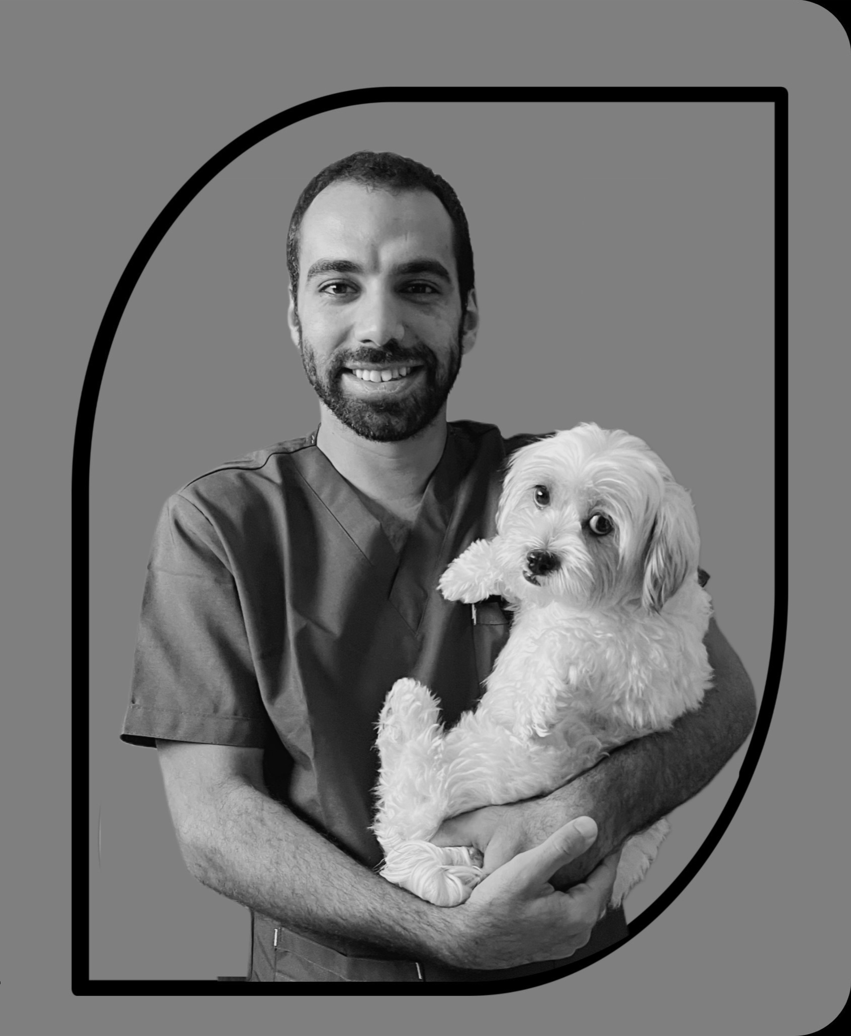 صورة العنصر