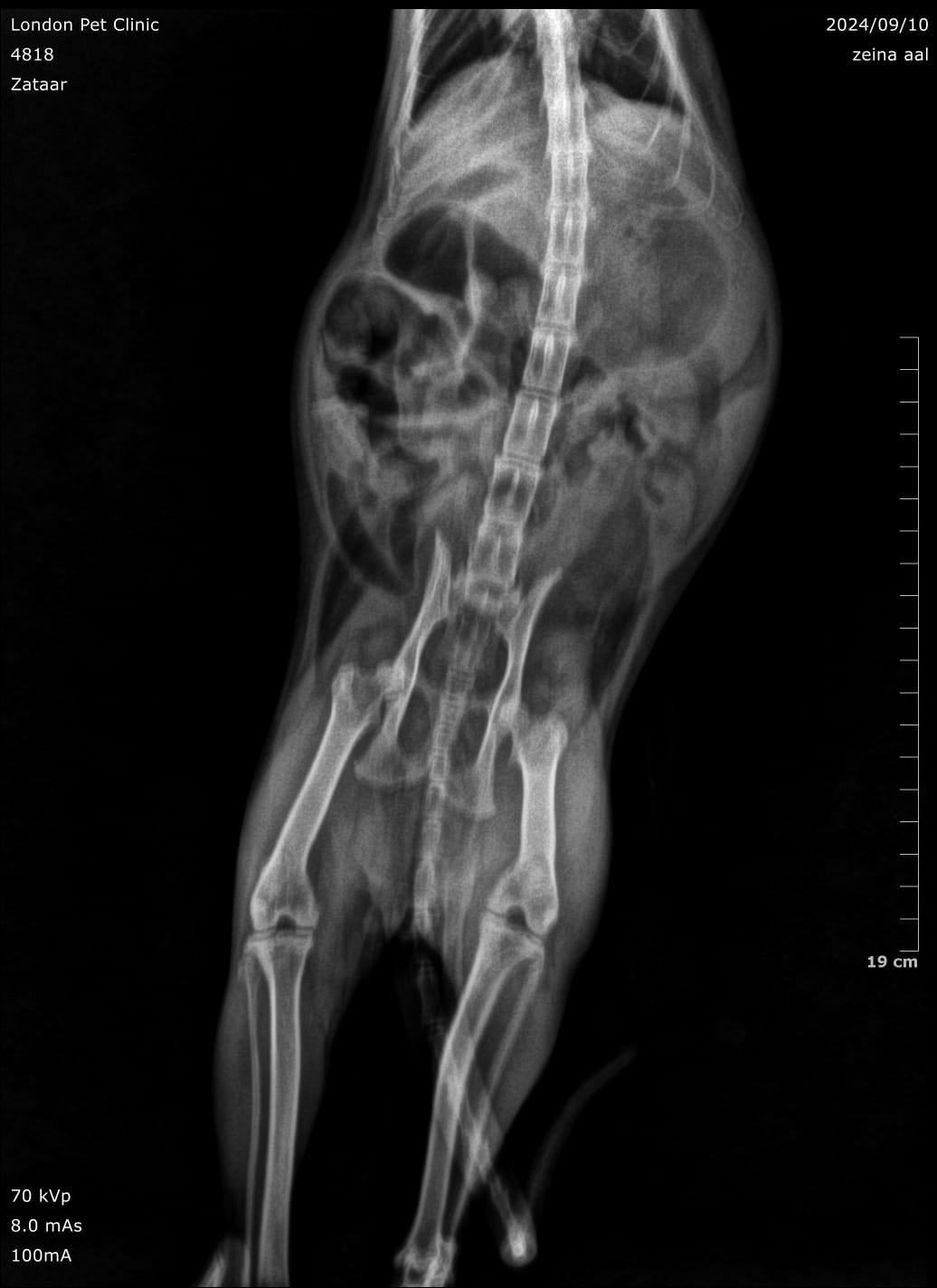 صورة المعرض