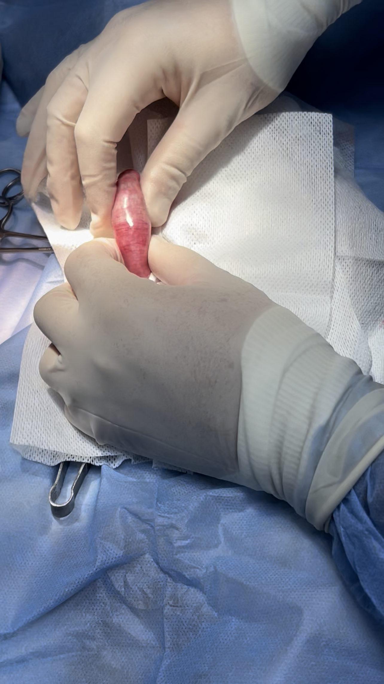 صورة المعرض