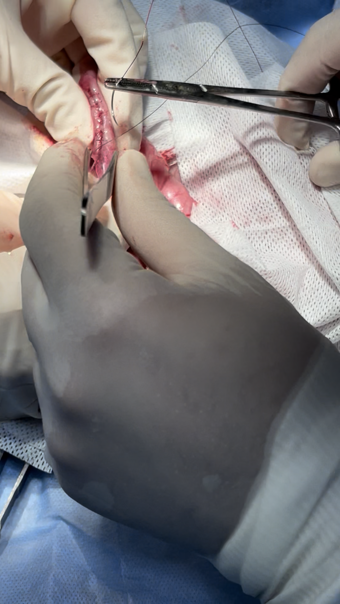 صورة المعرض