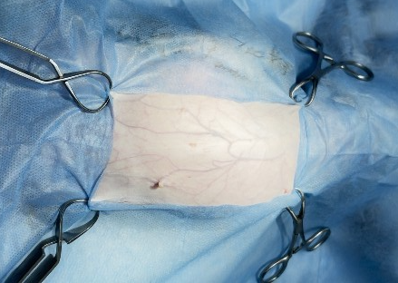 صورة المعرض