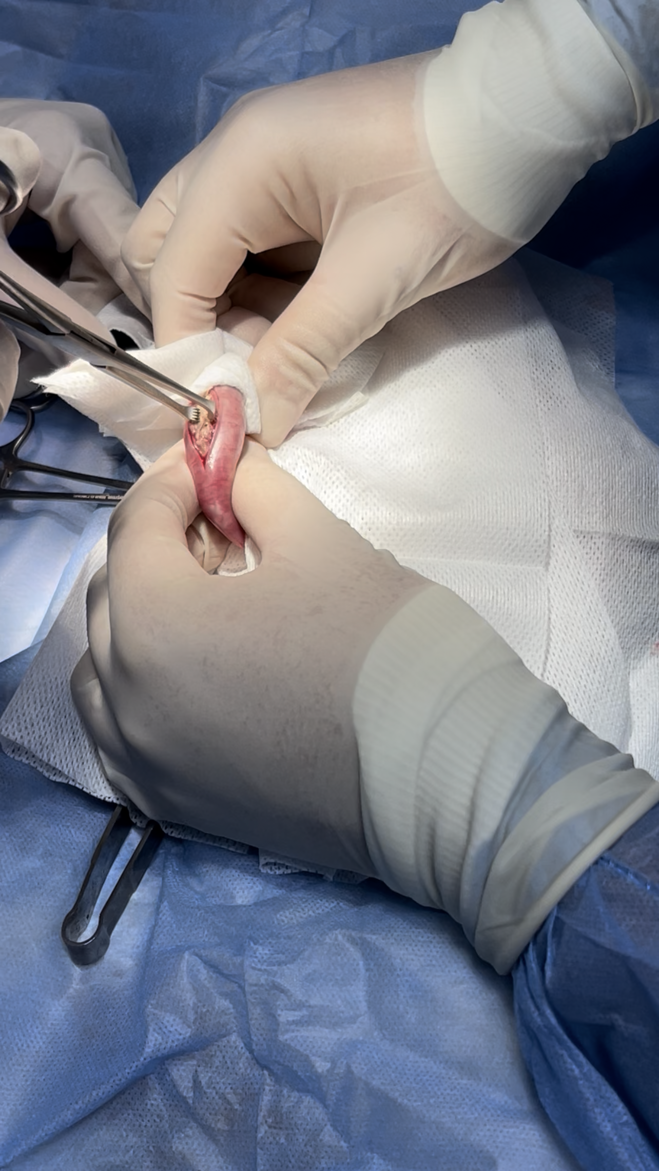 صورة المعرض