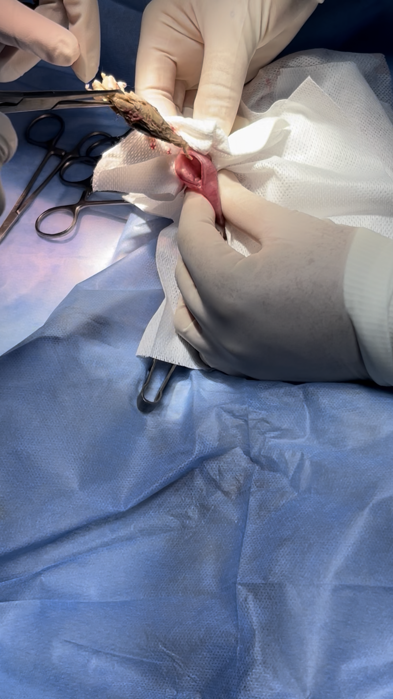 صورة المعرض