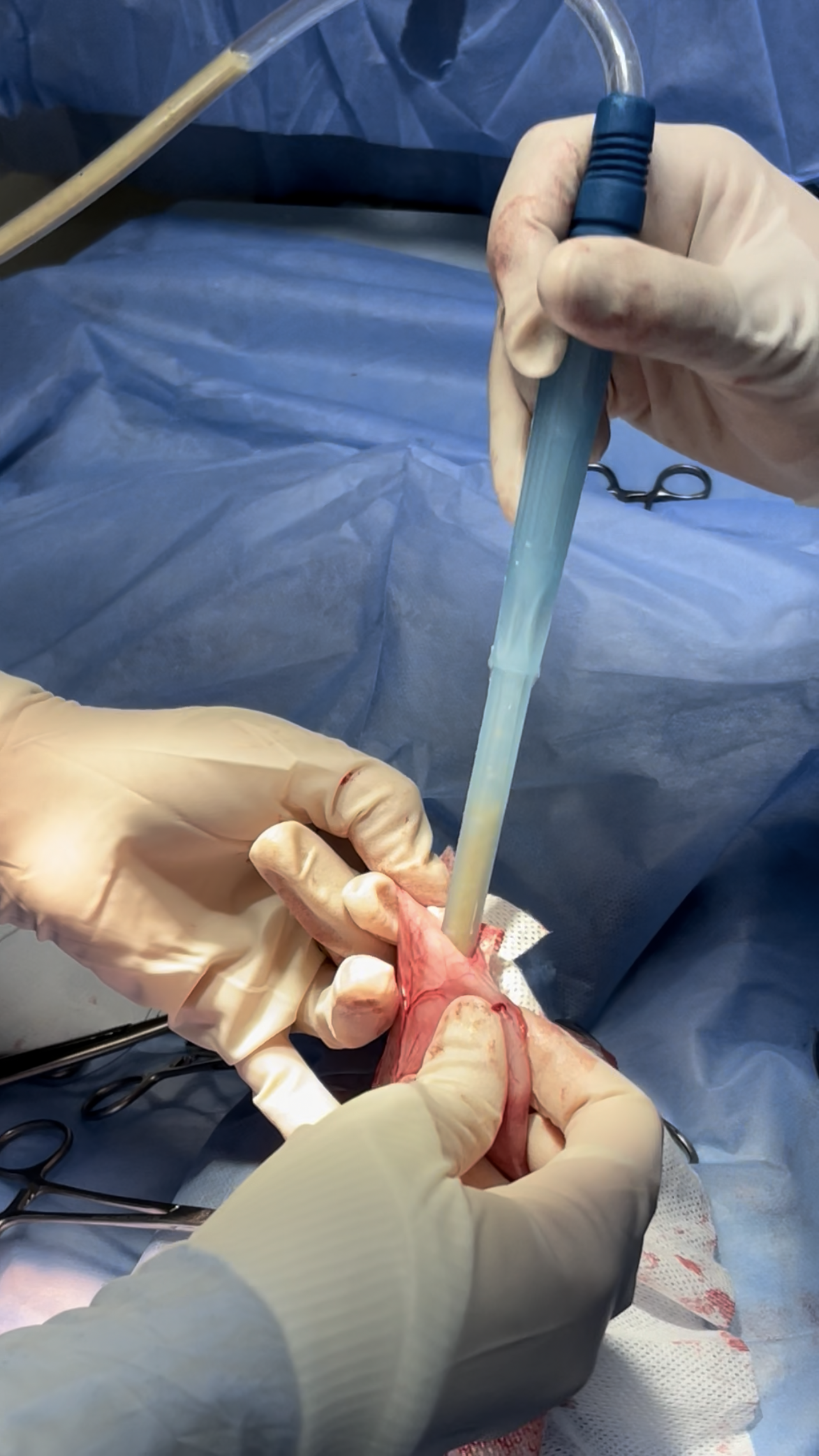 صورة المعرض