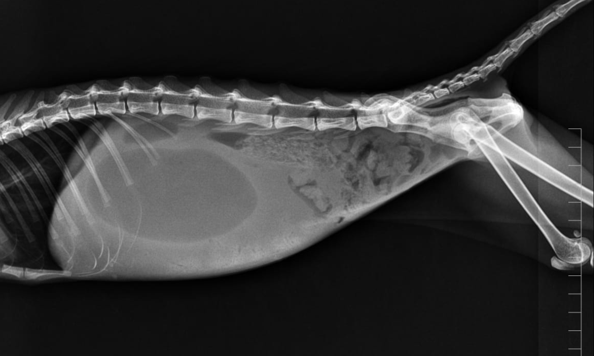 صورة المعرض