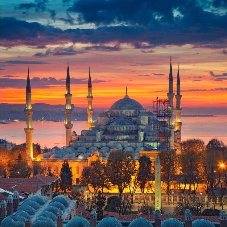 صورة القسم