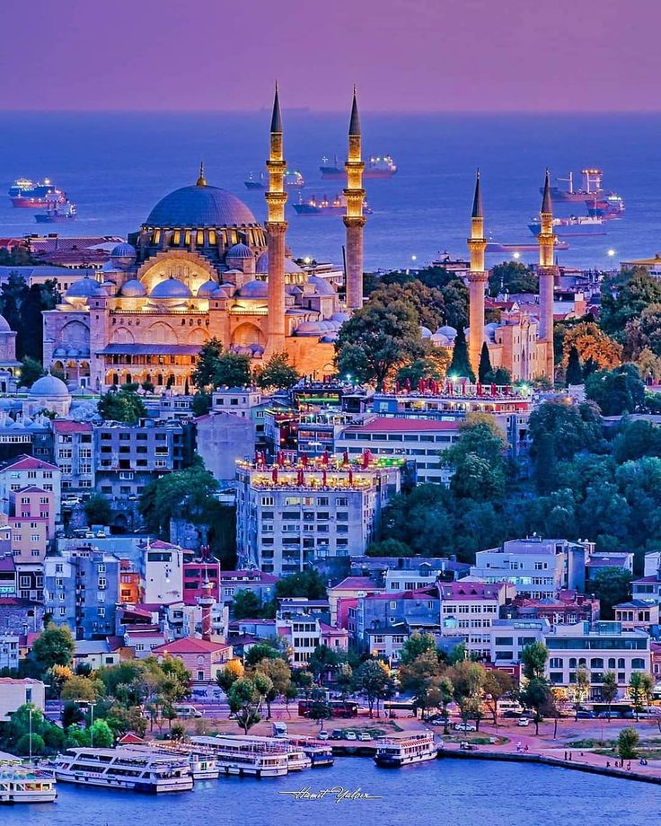 صورة القسم